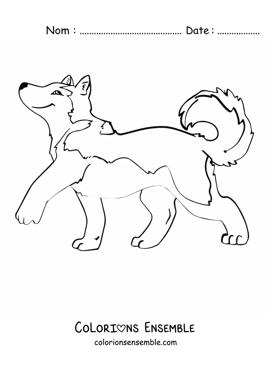 Image à colorier d’un husky qui marche