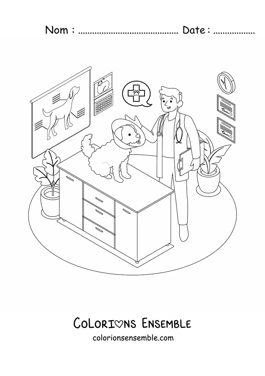 Image à colorier d’un chien et d’un vétérinaire à la clinique