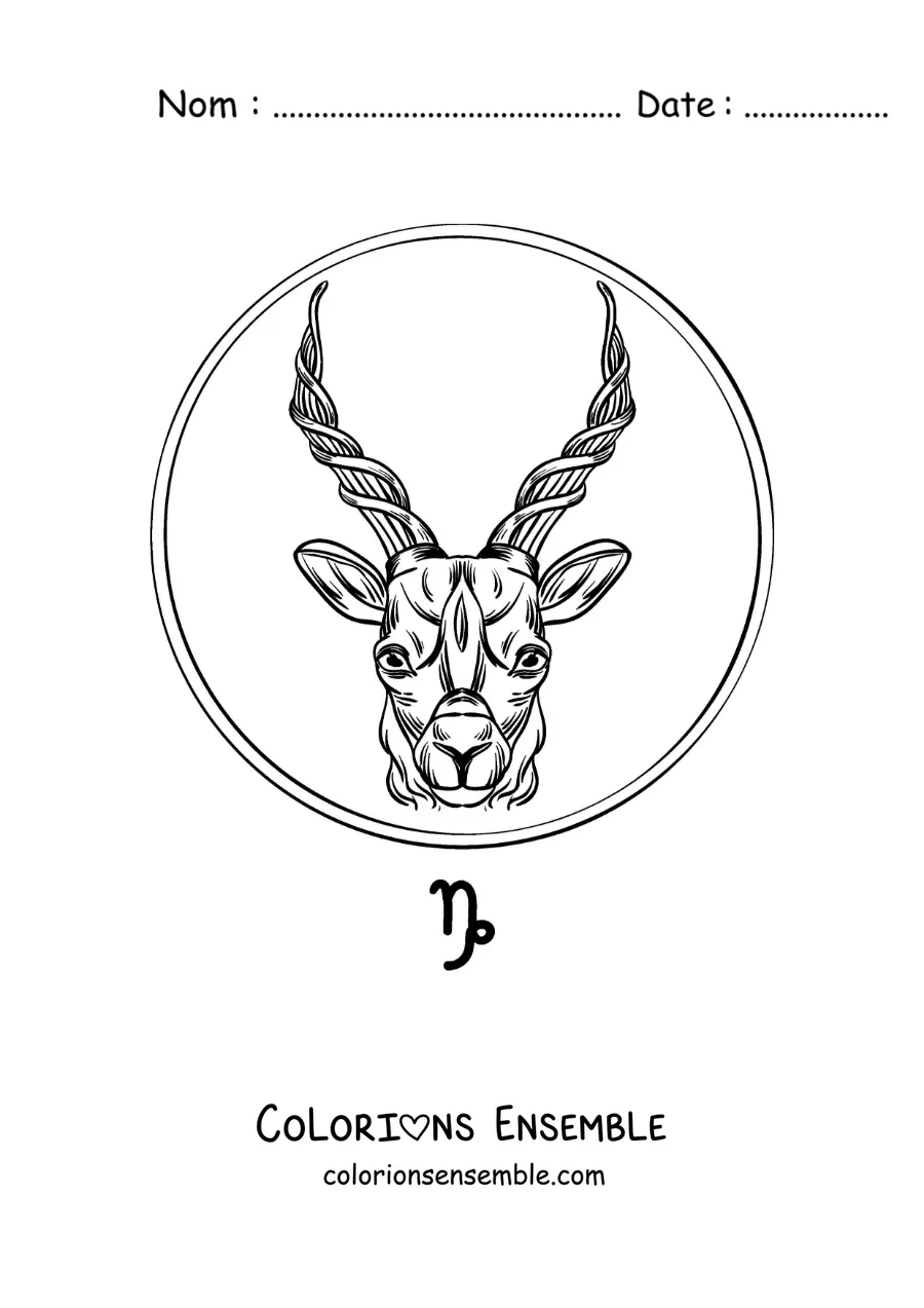 Image à colorier d’une chèvre réaliste du signe du Capricorne
