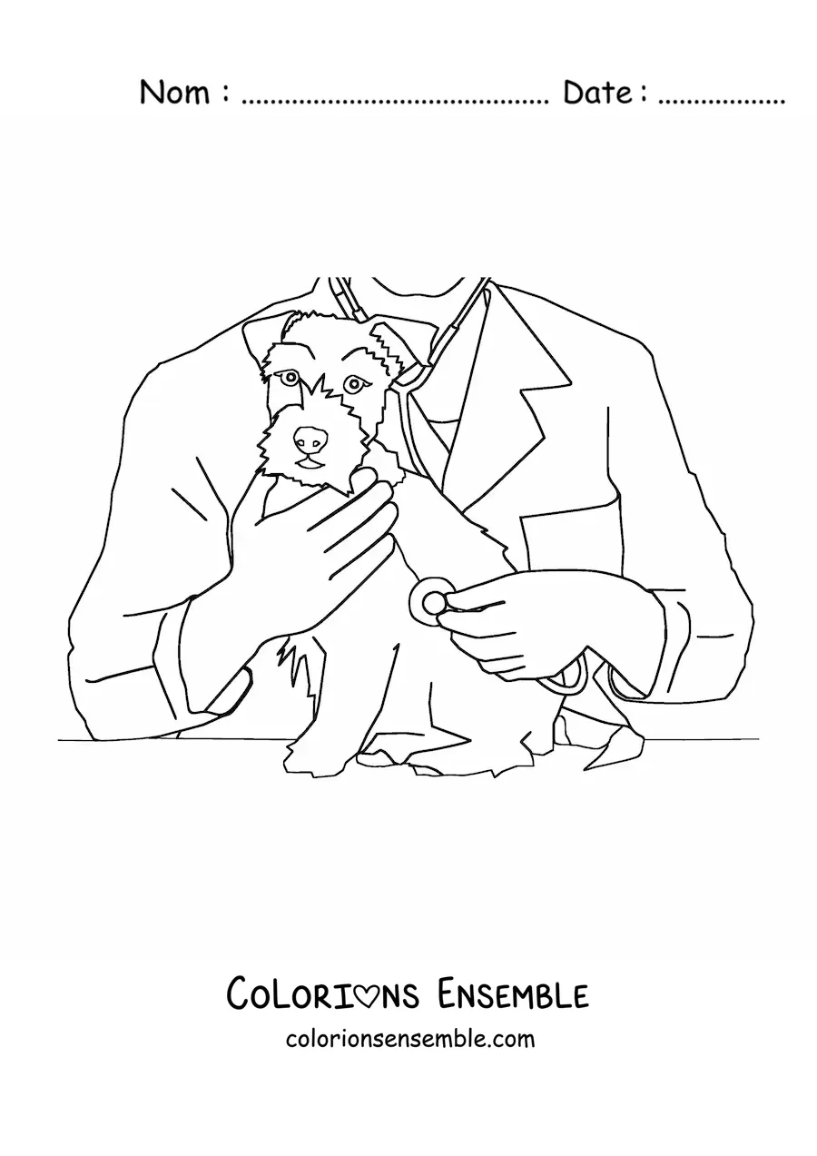 Image à colorier d’un vétérinaire auscultant un chien