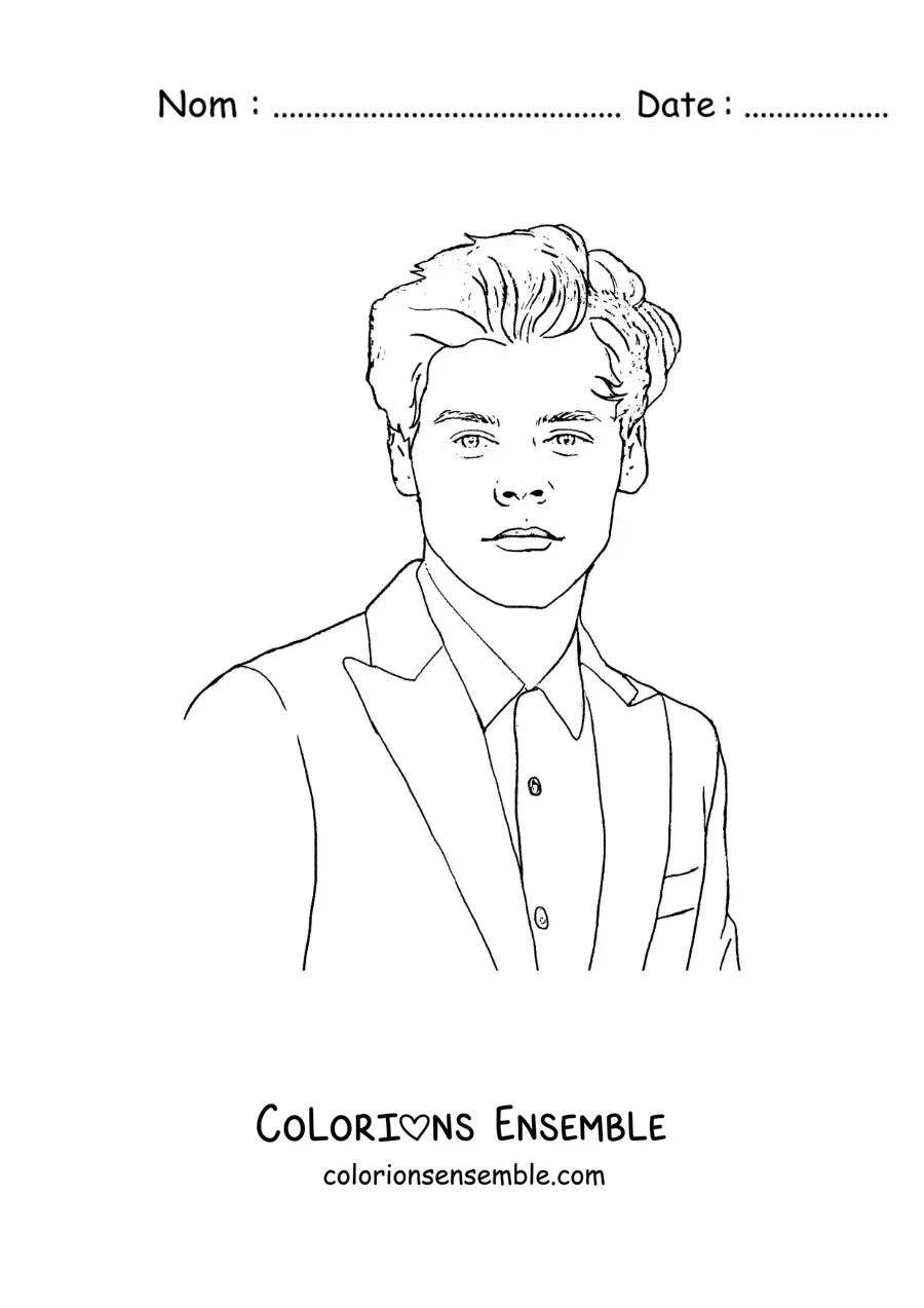 Coloriage d’un portrait réaliste de Harry Styles
