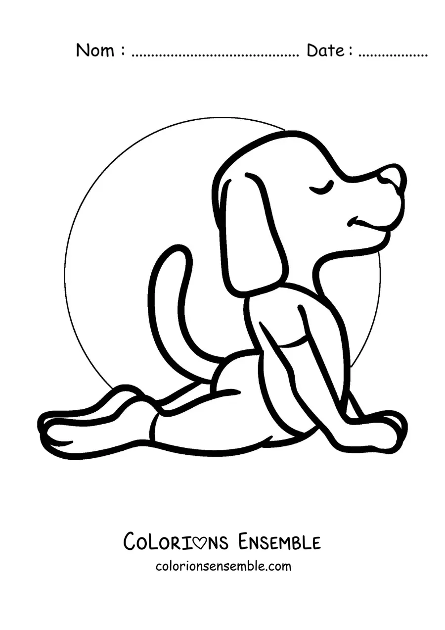 Image à colorier d'un chien dessiné qui fait la posture du cobra en yoga