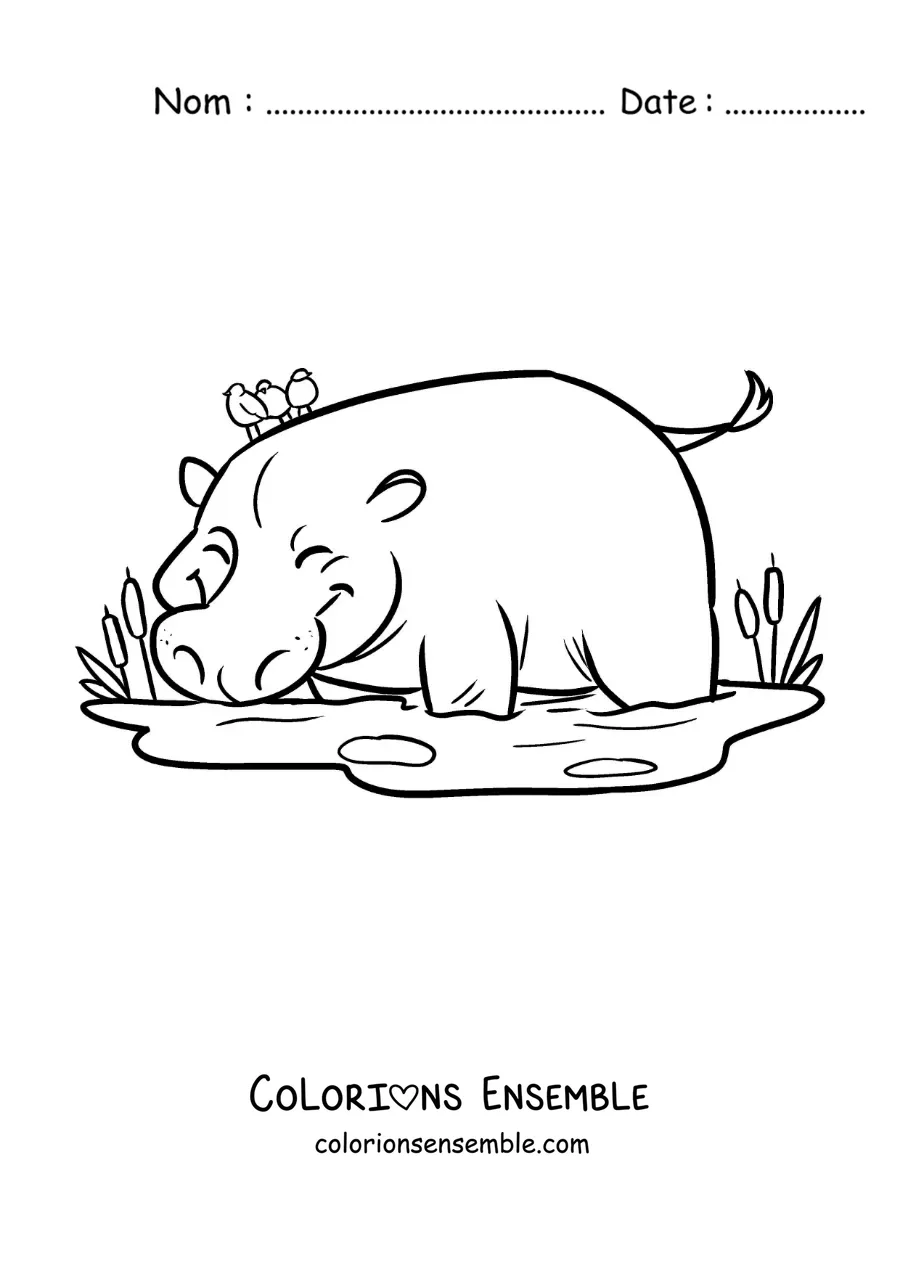 Image à colorier d’un hippopotame de zoo rigolo buvant dans un étang