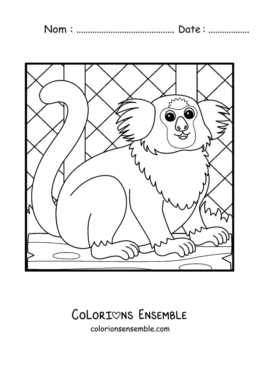 Image à colorier d’un ouistiti de zoo rigolo dans une cage