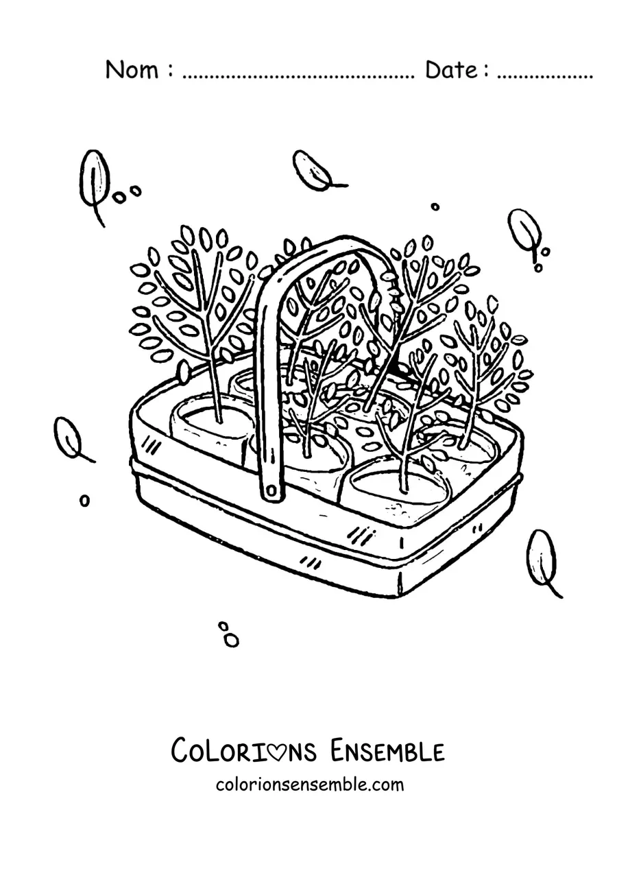 Image à colorier de plantes prêtes à être repiquées dans un panier