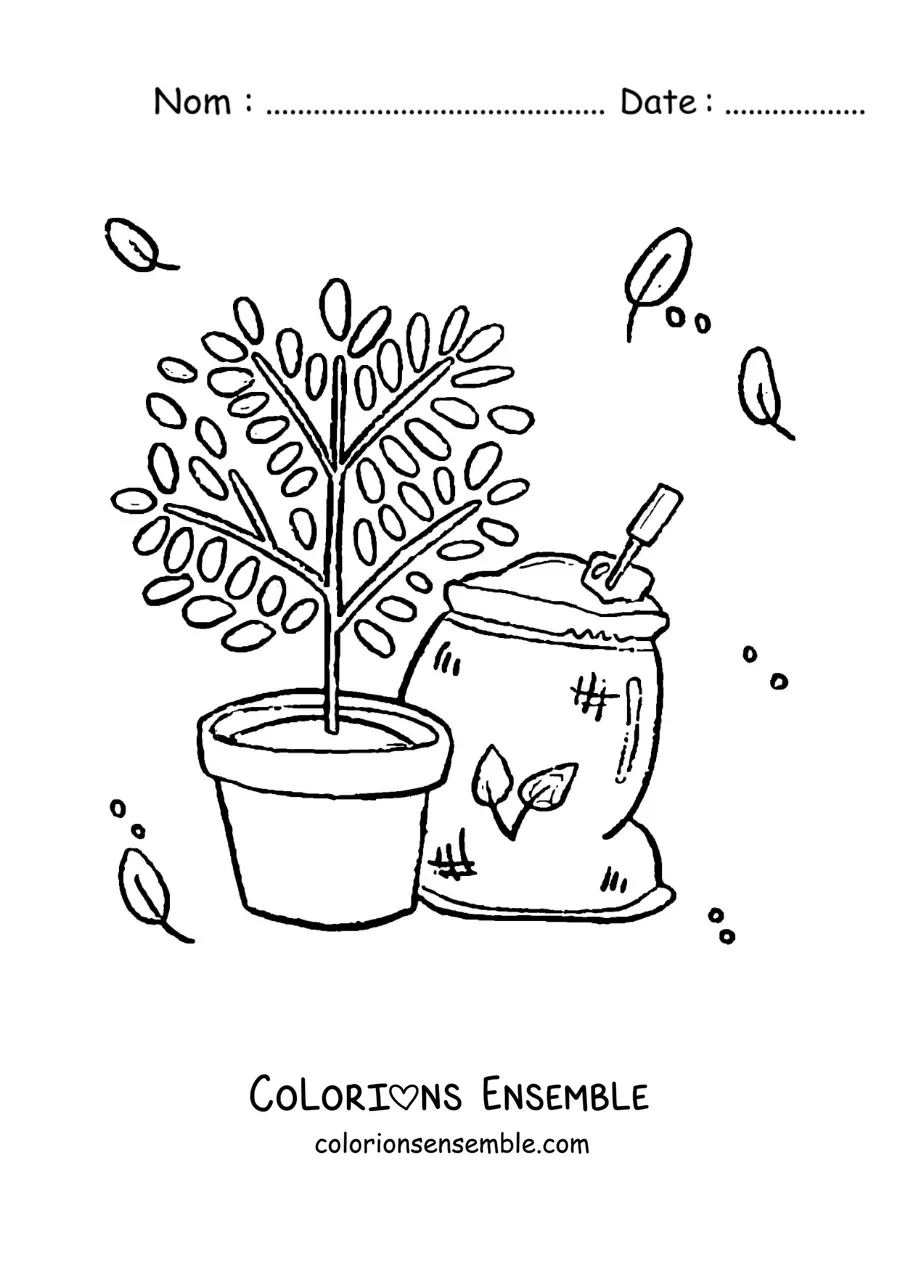 Image à colorier d’une plante en pot à côté d’un sac de terre