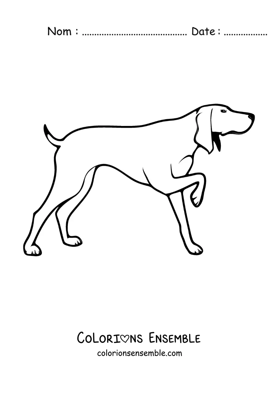 Image à colorier d’un chien de chasse