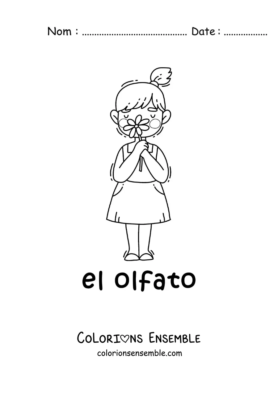 Image à colorier d'une fille qui utilise son odorat pour sentir une fleur