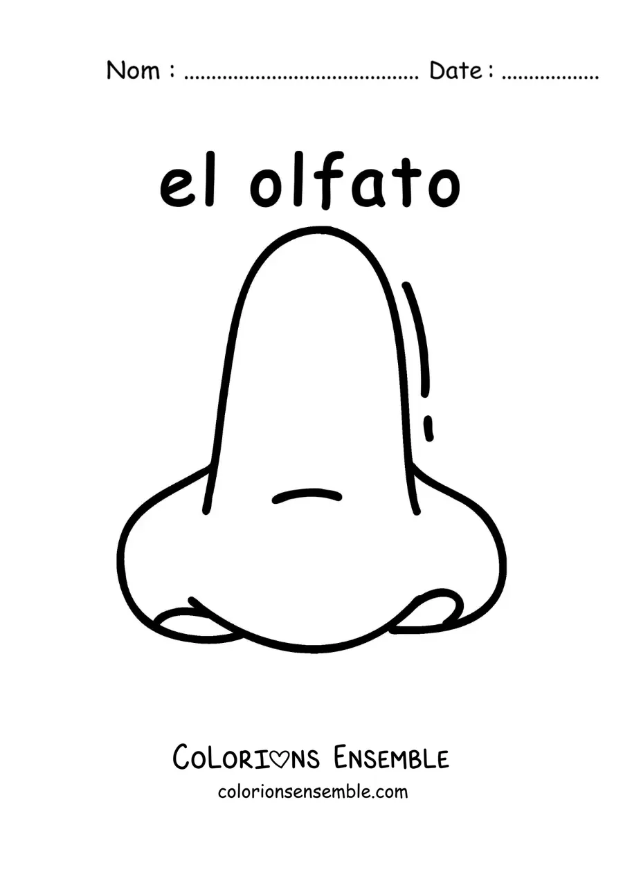 Image à colorier d'une fiche éducative sur le sens de l'odorat