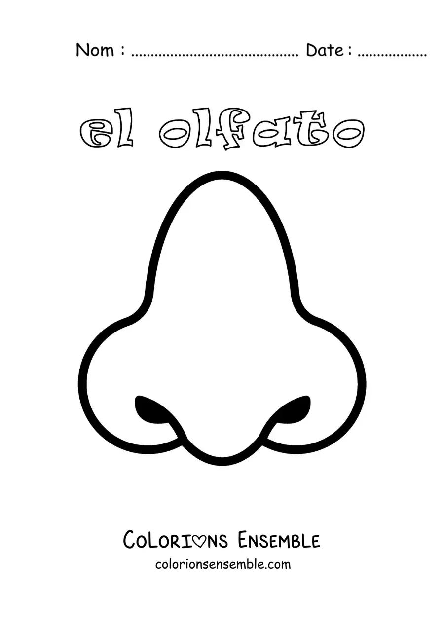 Image à colorier du nez et du sens de l'odorat, pour les enfants