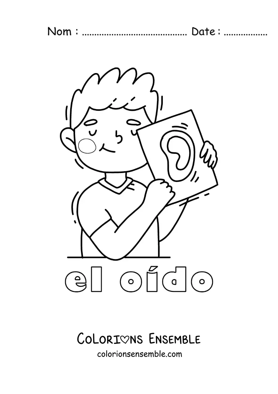 Image à colorier d'un enfant qui montre son oreille, avec le texte « l'ouïe »