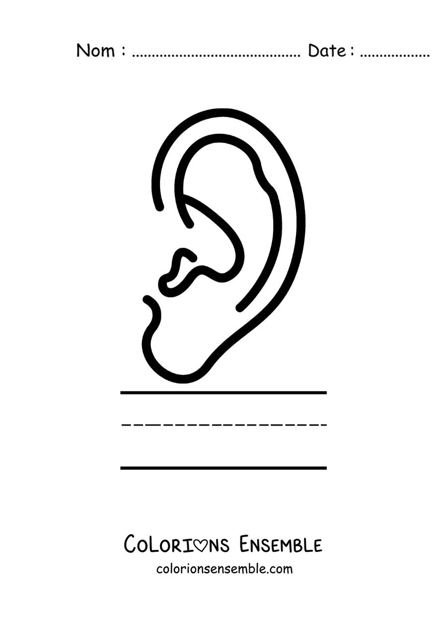 Image à colorier d'une activité éducative pour enfants sur le sens de l'ouïe