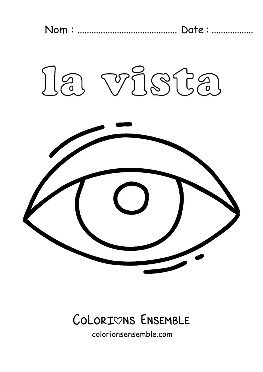 Image à colorier de l'œil et du sens de la vue