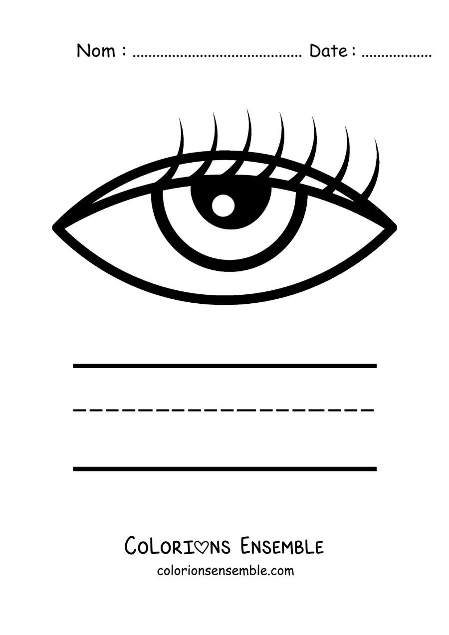 Image à colorier d’une activité éducative pour enfants sur le sens de la vue