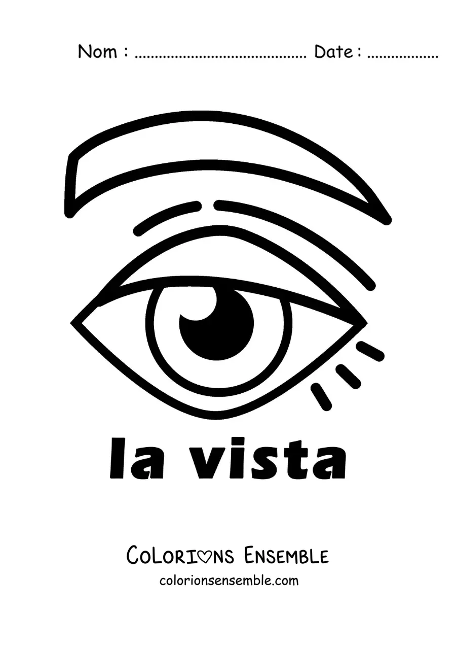 Image à colorier d’un œil, symbole du sens de la vue pour enfants