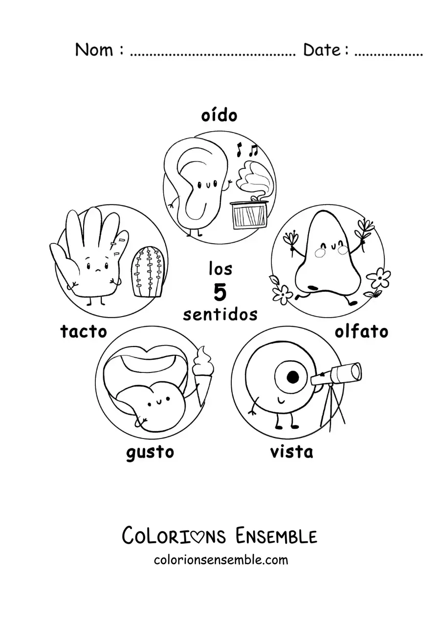 Image à colorier de dessins animés des 5 sens pour enfants