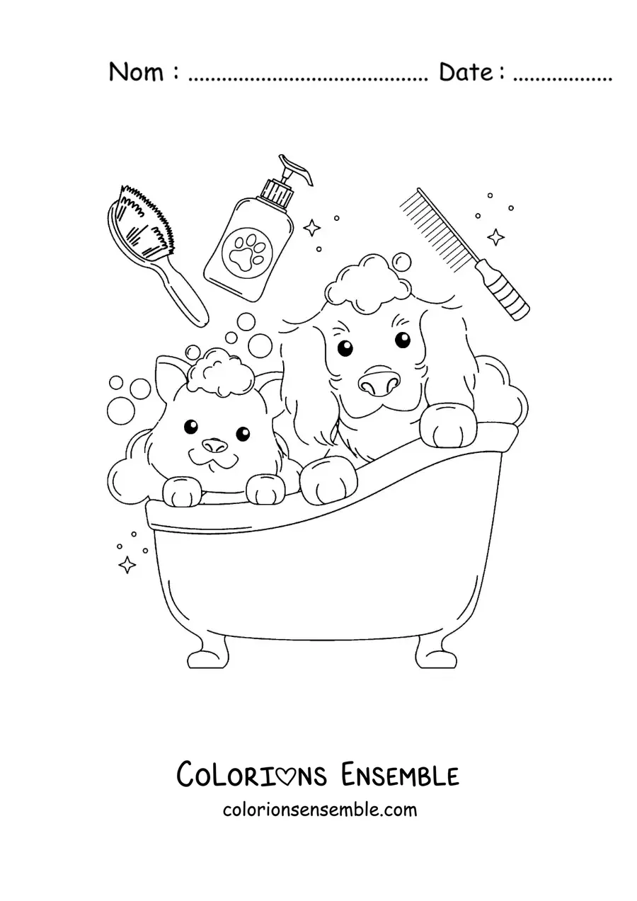 Dessin à colorier d’un chien et d’un chat tout mignons qui prennent un bain