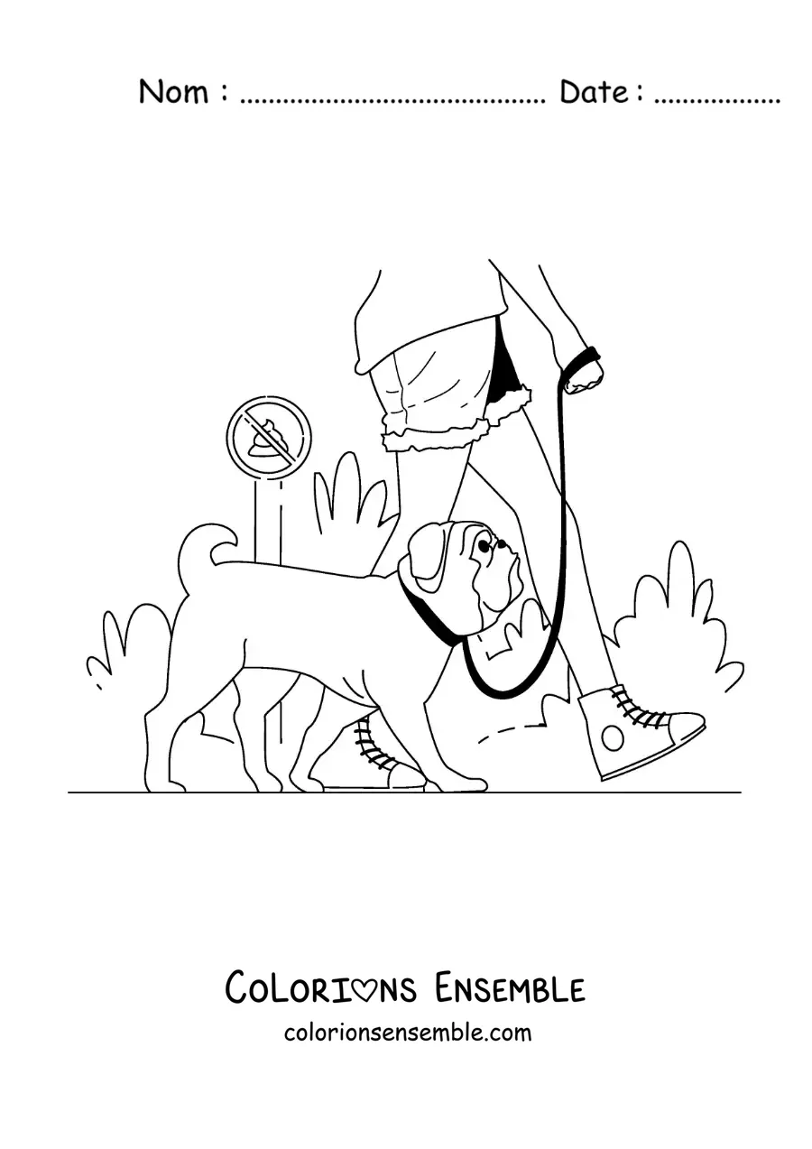 Image à colorier d'une fille qui promène son chien dans le parc