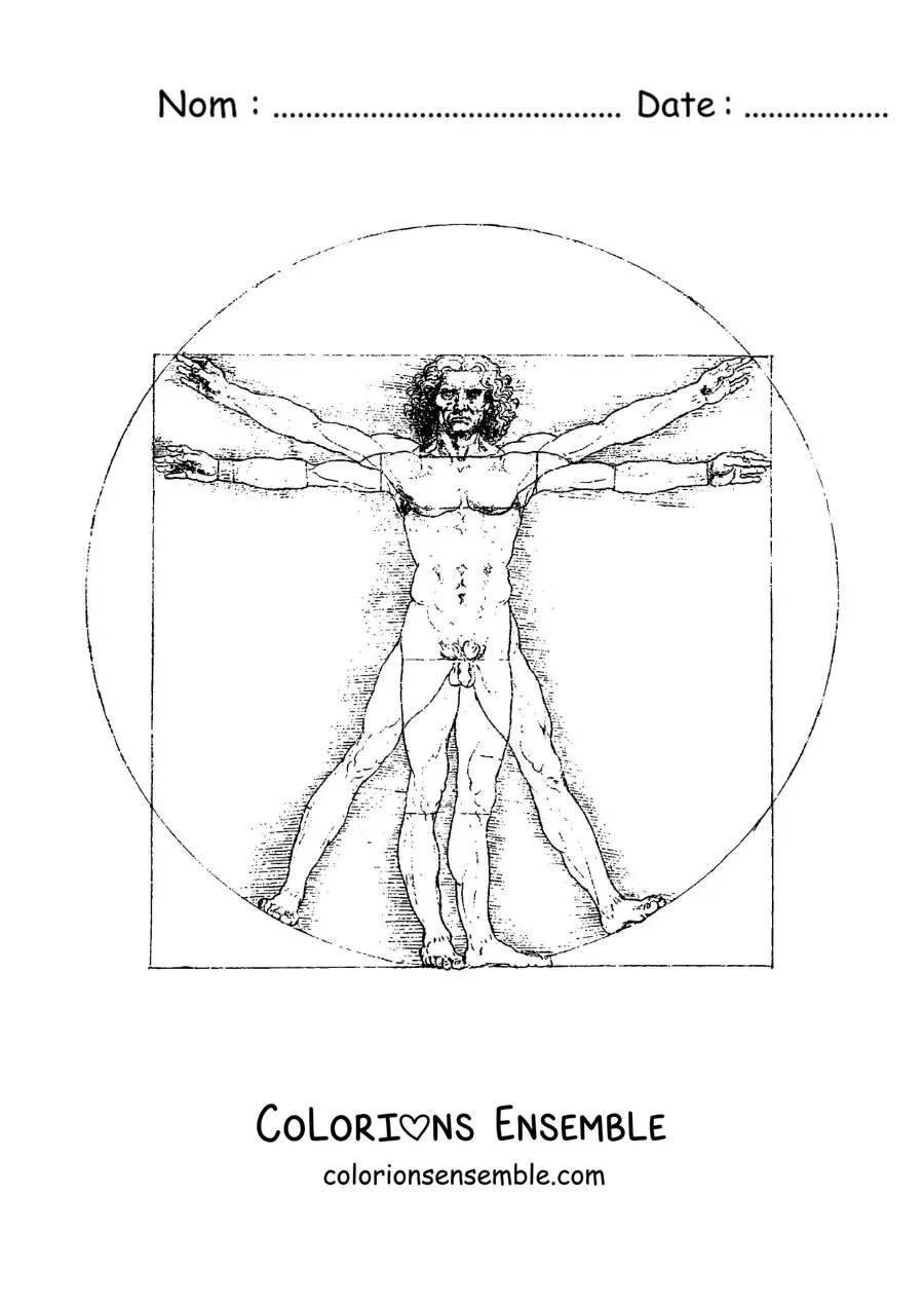 Image à colorier de L'homme de Vitruve de Léonard de Vinci
