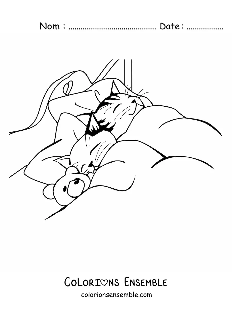 Image à colorier de deux chats endormis sur un lit près d’un ours en peluche