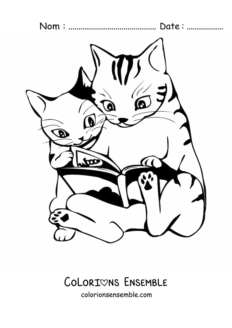 Image à colorier de deux chats assis lisant un livre