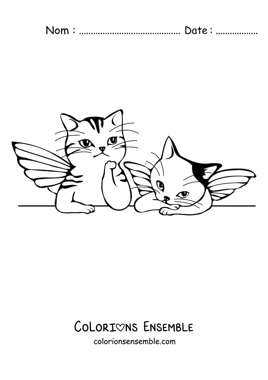 Image à colorier de deux chats avec des ailes