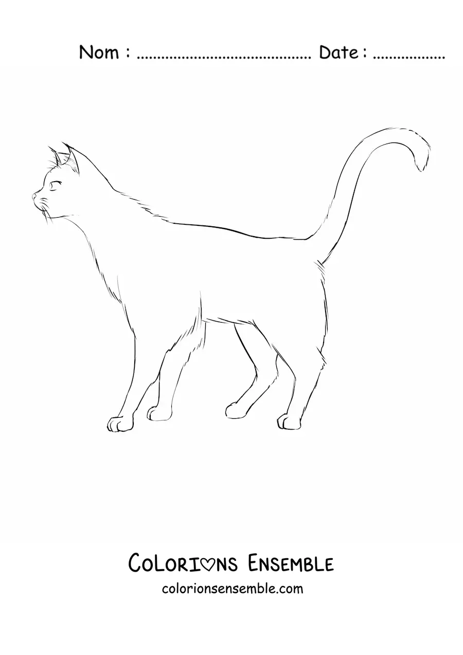 Image à colorier d’un chat qui marche