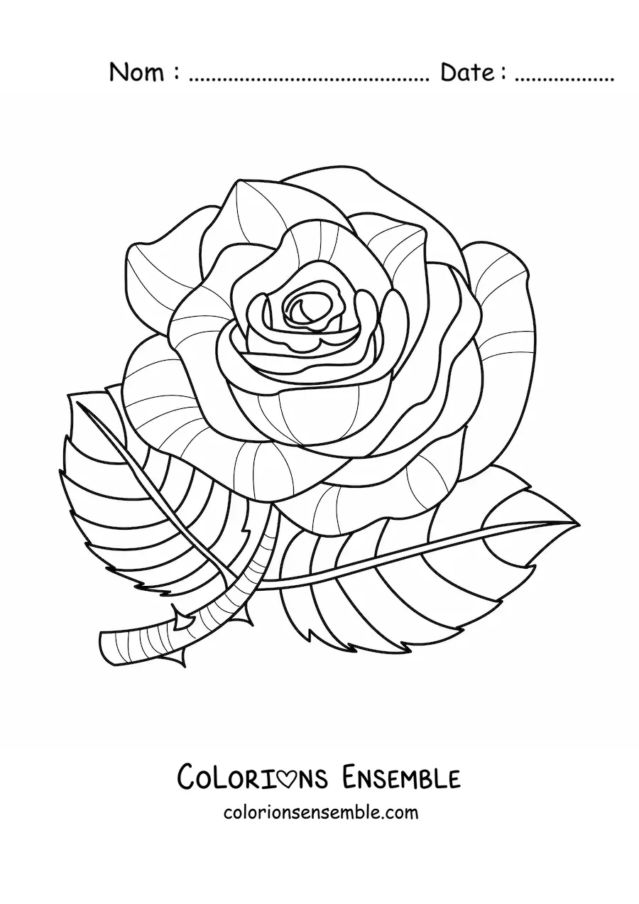Image à colorier d’une grande rose avec des feuilles et des épines