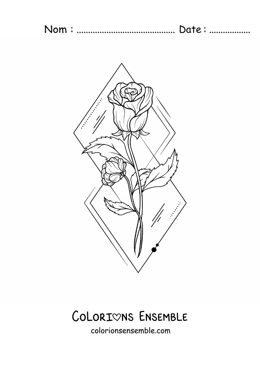 Image à colorier de deux belles roses avec des feuilles