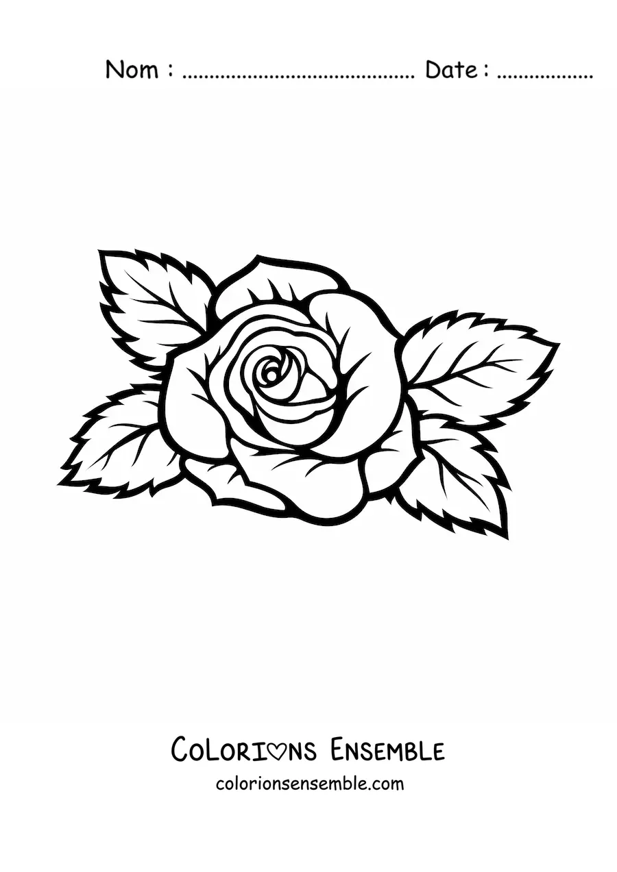Image à colorier d’une grande rose simple avec des feuilles