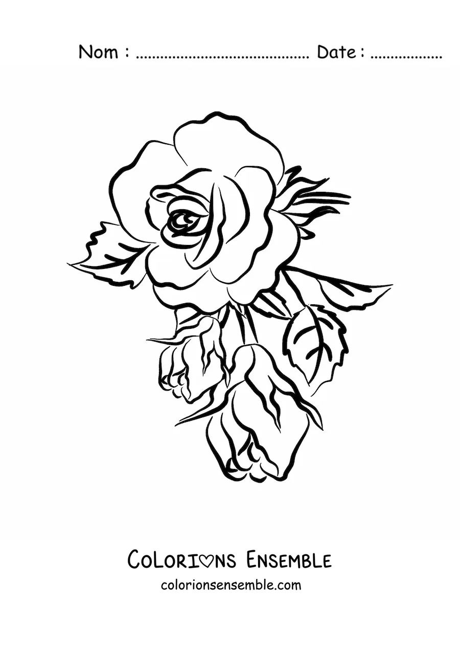 Image à colorier d’une grande rose simple avec des feuilles