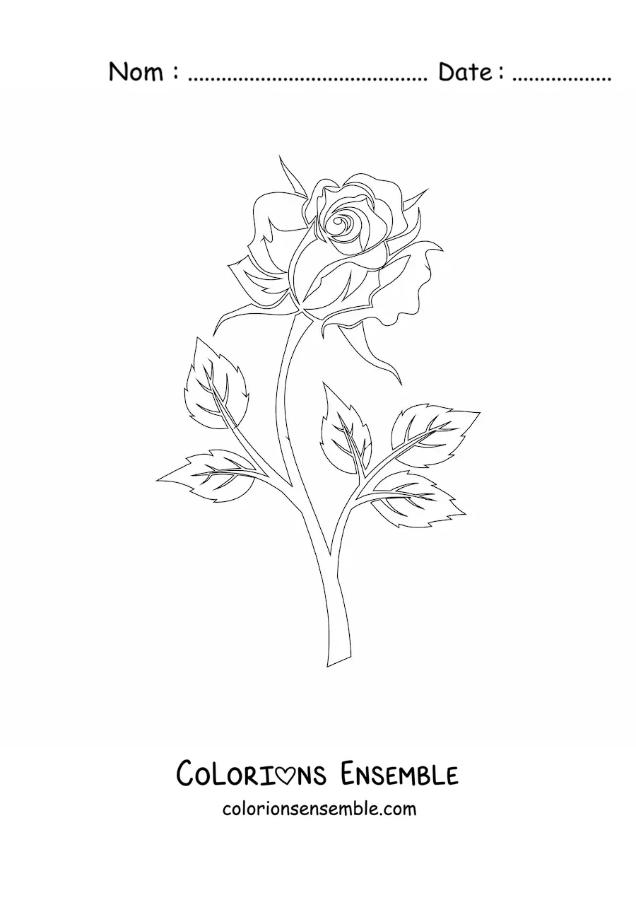 Image à colorier d’une rose avec une tige