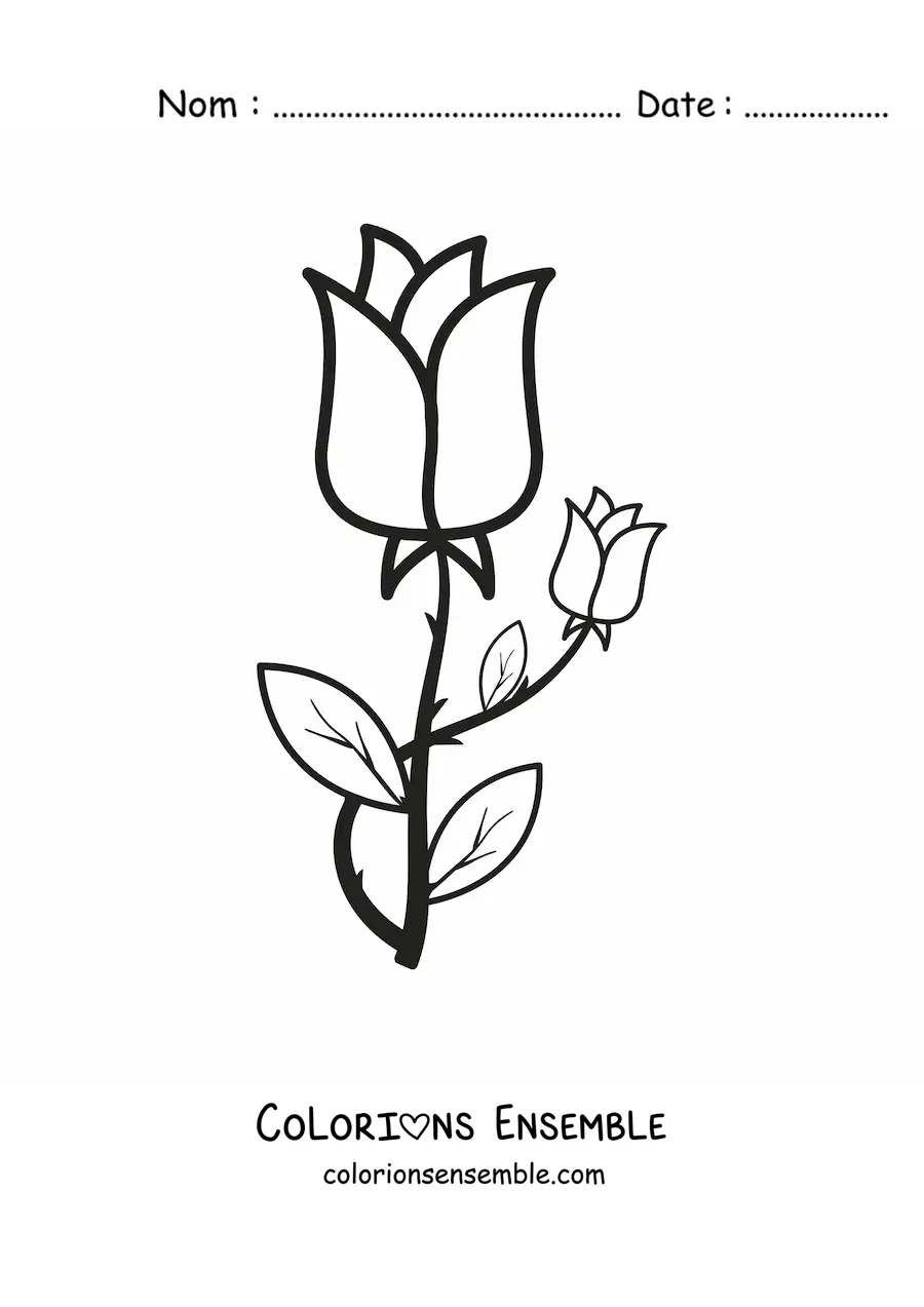 Image à colorier de deux roses avec des épines