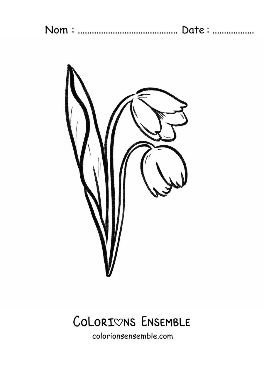 Image à colorier d’une paire de tulipes avec des feuilles
