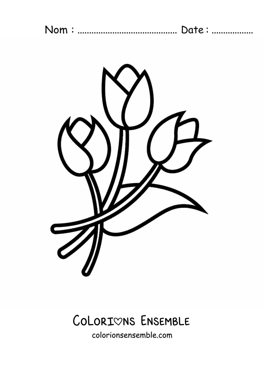 Image à colorier de trois tulipes simples