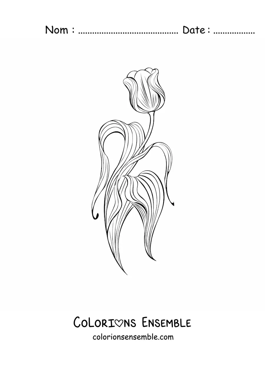 Image à colorier d’une tulipe avec des feuilles