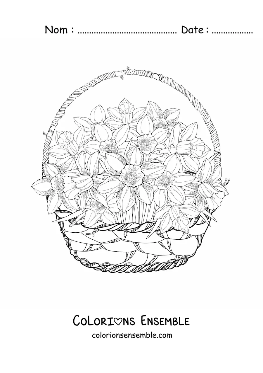 Image à colorier d’un panier d’orchidées cattleya
