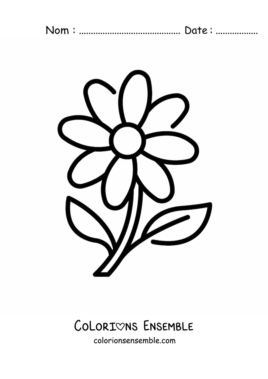 Image à colorier d'une marguerite toute simple