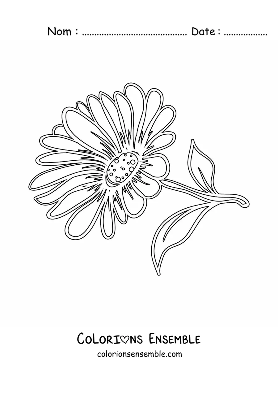 Image à colorier d'une marguerite