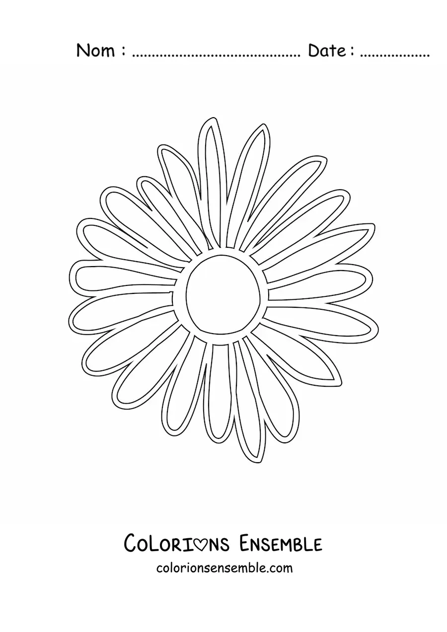 Image à colorier d'une grande marguerite toute simple
