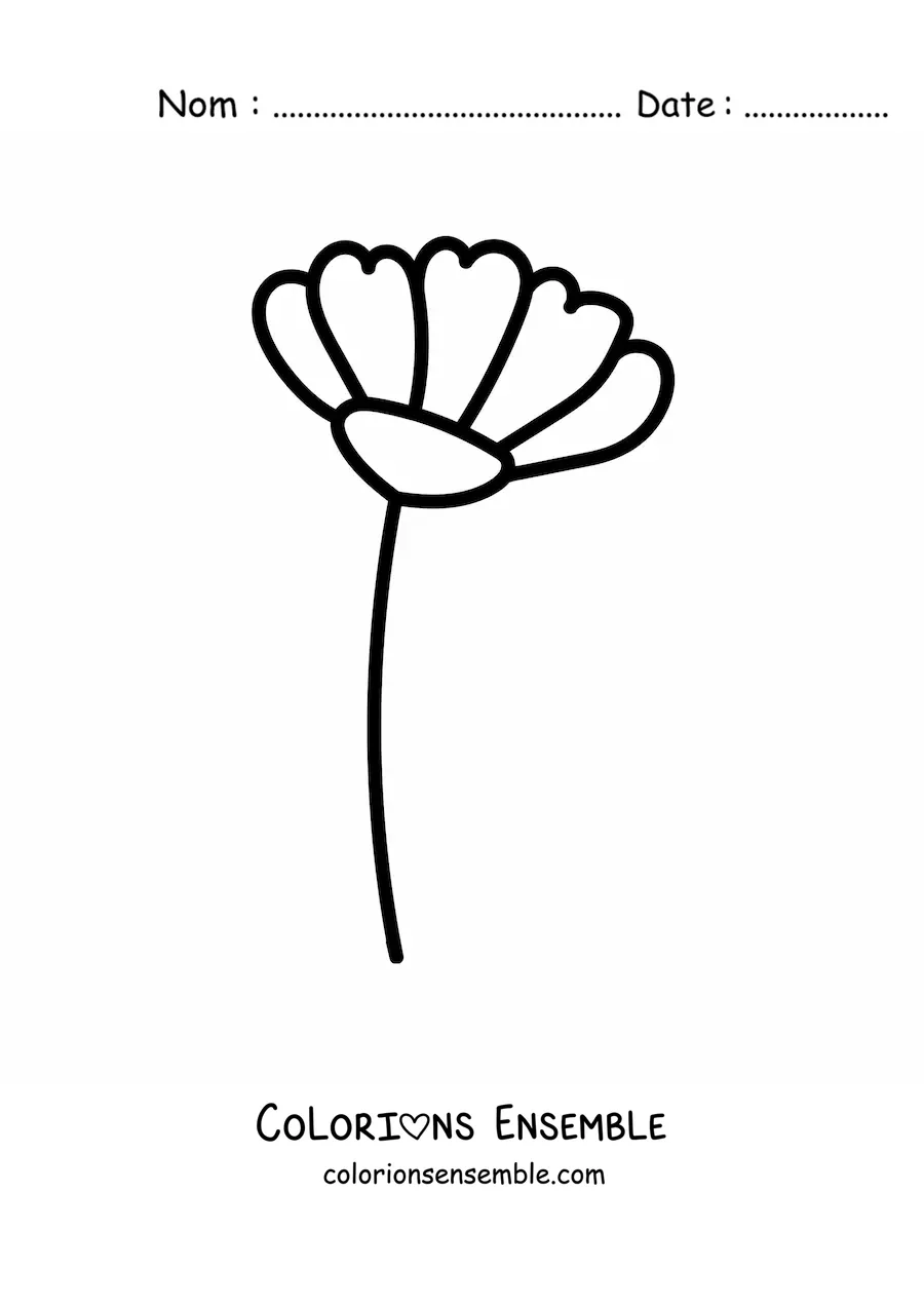 Image à colorier d’un œillet tout simple