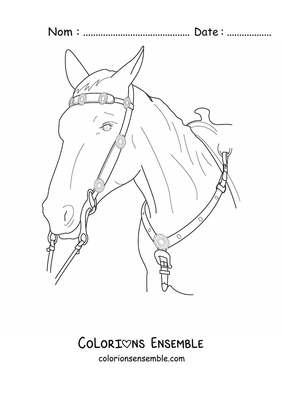 Image à colorier d’une tête de cheval avec les rênes en place