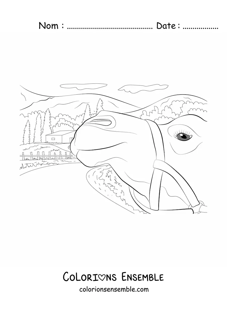 Image à colorier d’un chameau avec une maison à l’arrière-plan