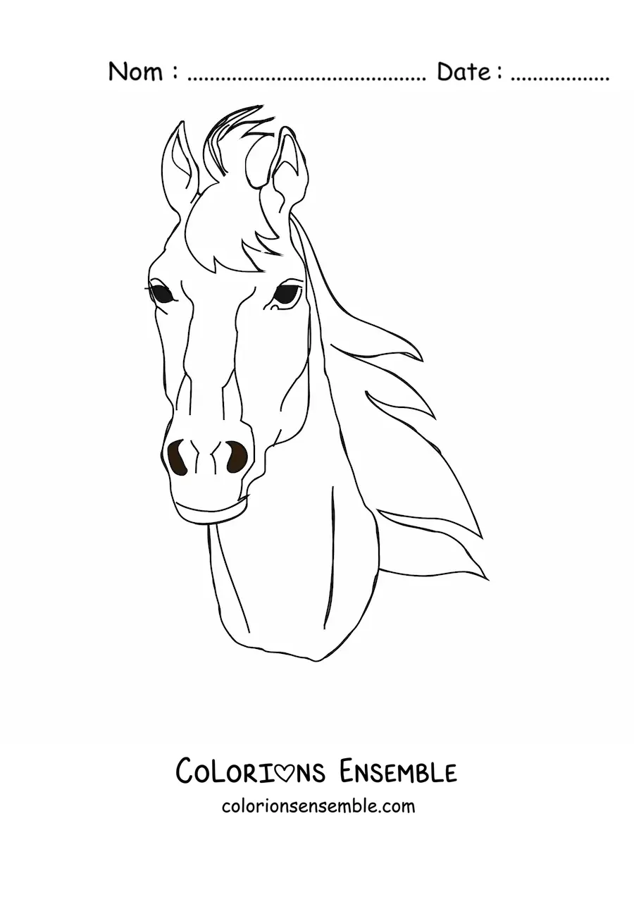 Image à colorier d’une tête de cheval vue de face
