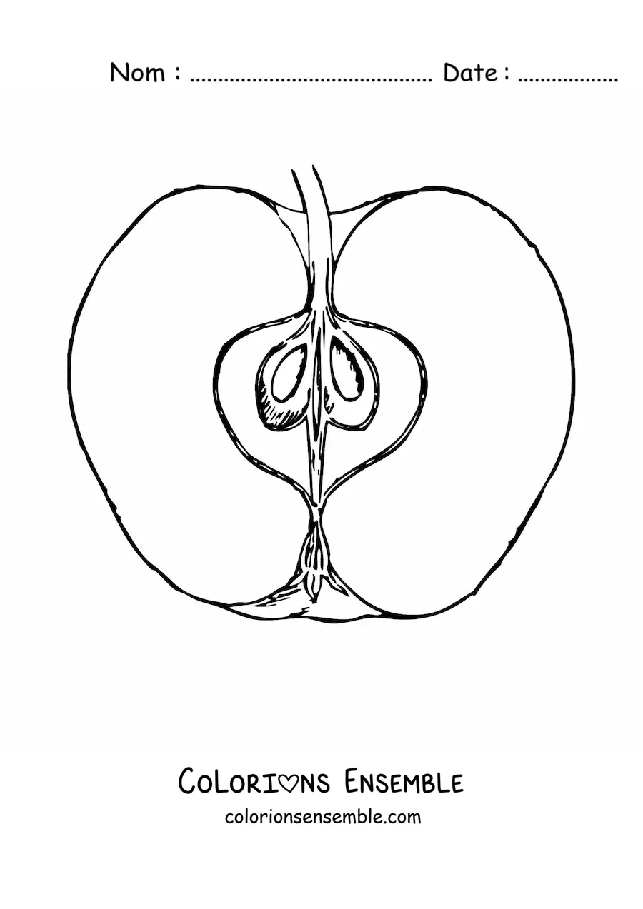 Image à colorier d’une demi-pomme