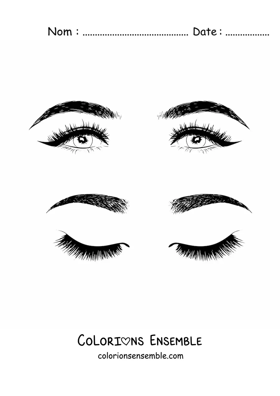 Image à colorier de deux paires d'yeux et de sourcils de femme réalistes avec un joli maquillage