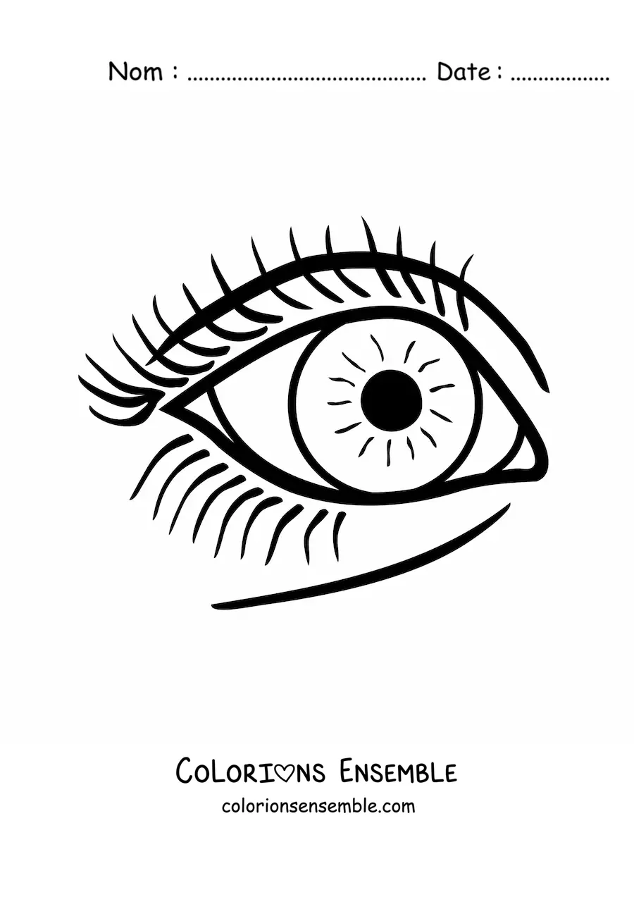 Image à colorier d'un grand œil avec des cils