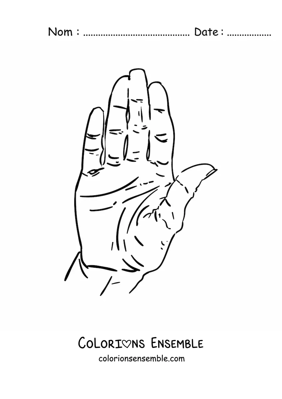 Image à colorier de la paume de la main