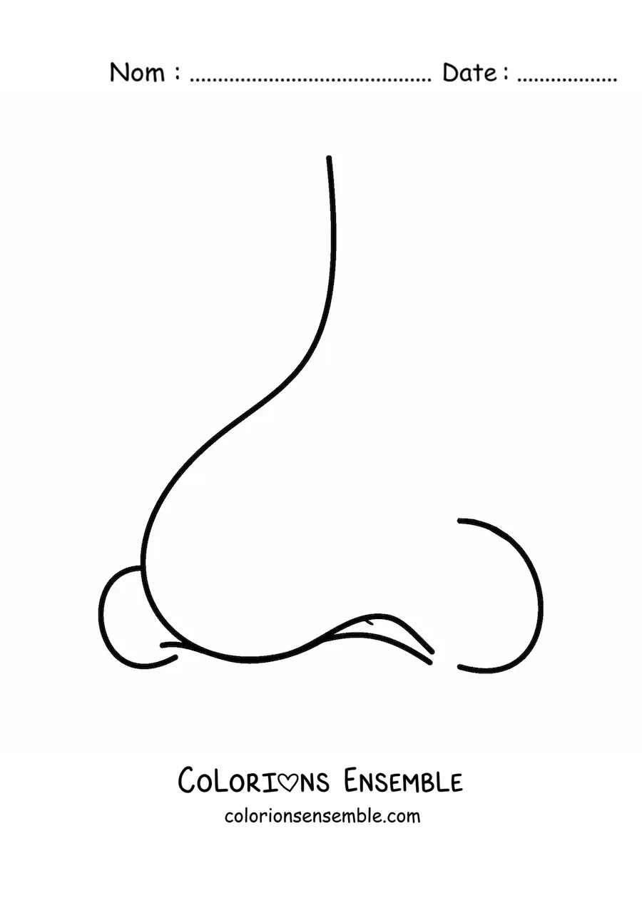 Coloriage d'un nez