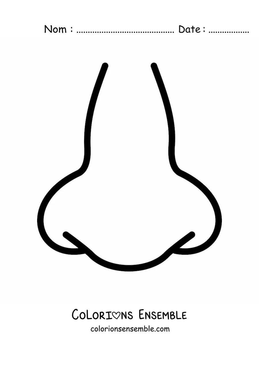 Coloriage d'un nez vu de face